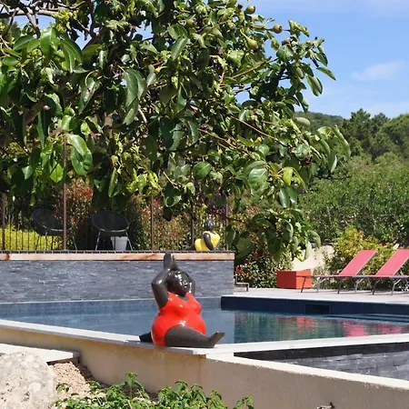 Guest house Les Jardins De Santa Giulia - Charmante Dhte 3*