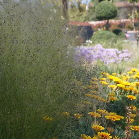 Les Jardins De Santa Giulia - Charmante D'hote Gasthof