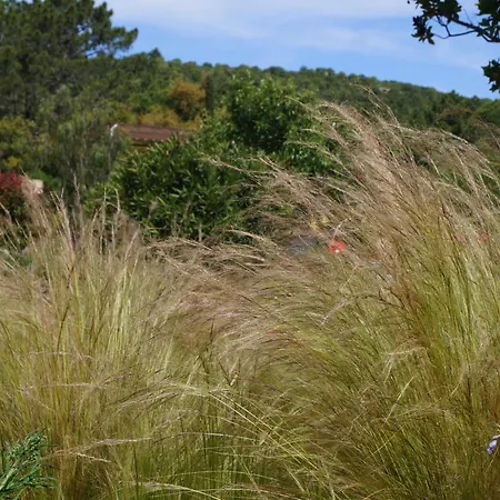Les Jardins De Santa Giulia - Charmante Dhte 3* Porto-Vecchio