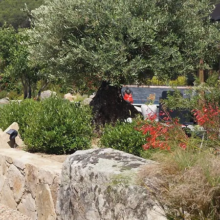 Les Jardins De Santa Giulia - Charmante Dhte Guest house