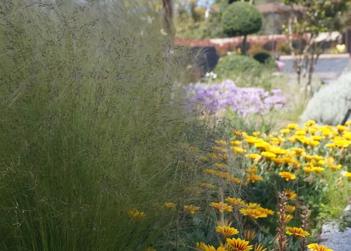 Les Jardins De Santa Giulia - Charmante Dhte Guest house