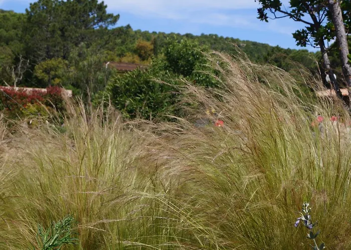 Les Jardins De Santa Giulia - Charmante Dhte 3* Porto-Vecchio (Corsica)